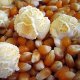 Amish Country Mushroom Popcorn - 25 Pounds