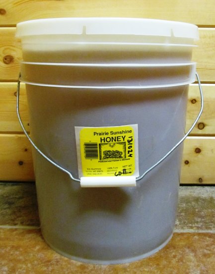 Prairie Sunshine Honey - 5 Gallon Pail (60 Pounds) From Montana USA! - Click Image to Close