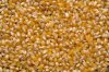 Amish Country Baby Yellow Popcorn - 25 Pounds