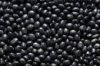 Black Beans (25 Pounds)